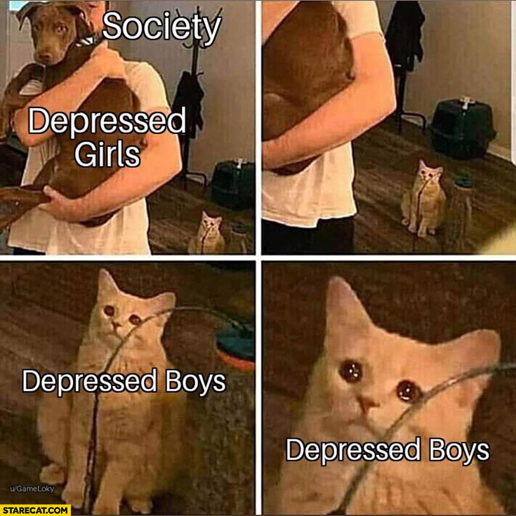 Society hugging depressed girls vs ignoring boys cat dog