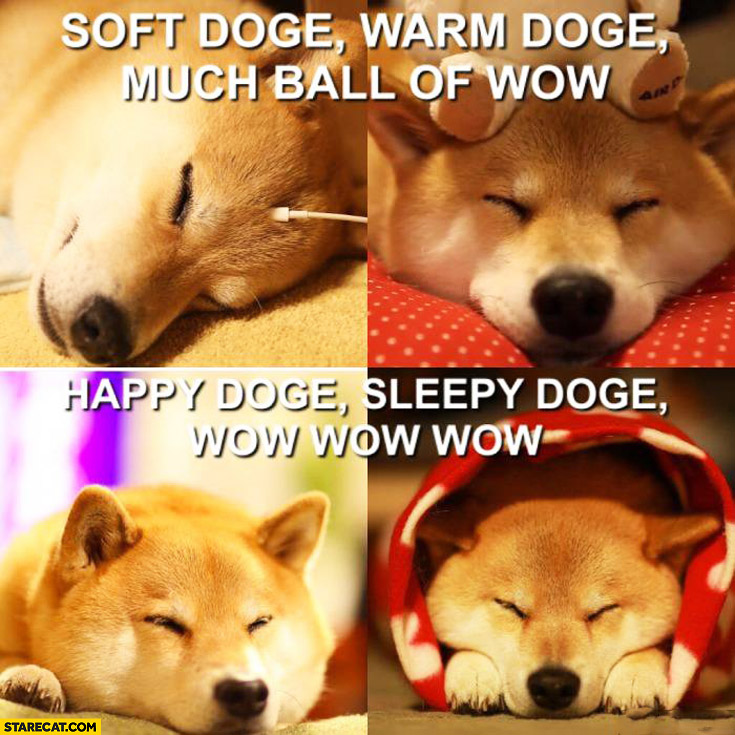 Soft doge, warm doge much ball of wow, happy doge, sleepy doge wow