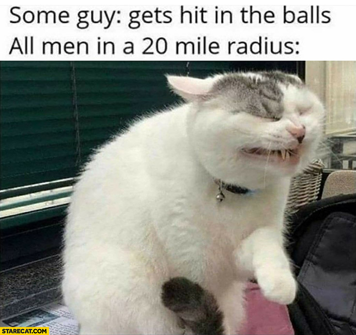 Some guy gets hit in the balls, all men in a 20 mile radius cat feeling the pain