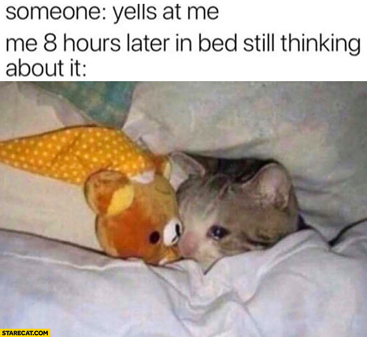 Someone yells at me me 8 hours later in bed still thinking about it