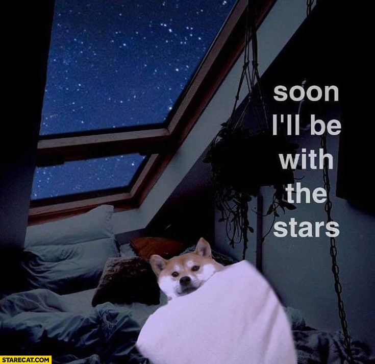Soon I’ll be with the stars dog doge