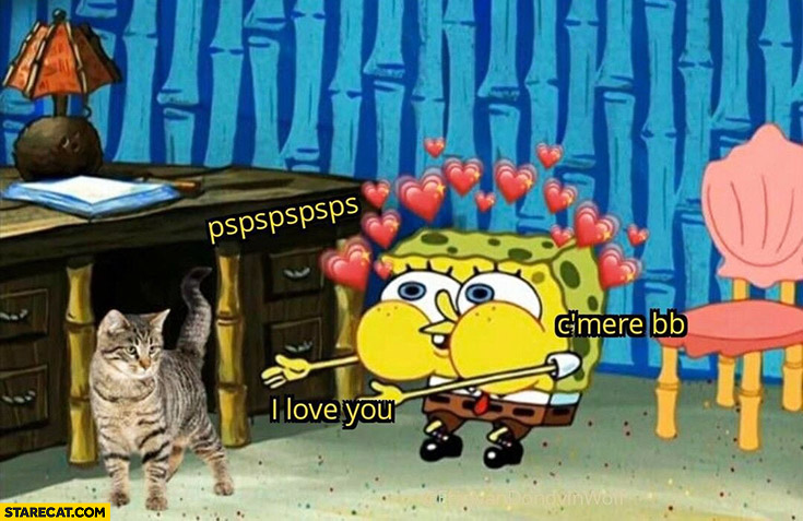 Spongebob petting a cat psps, come here, I love you