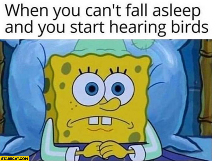 Spongebob when you cant fall asleep and you start hearind birds