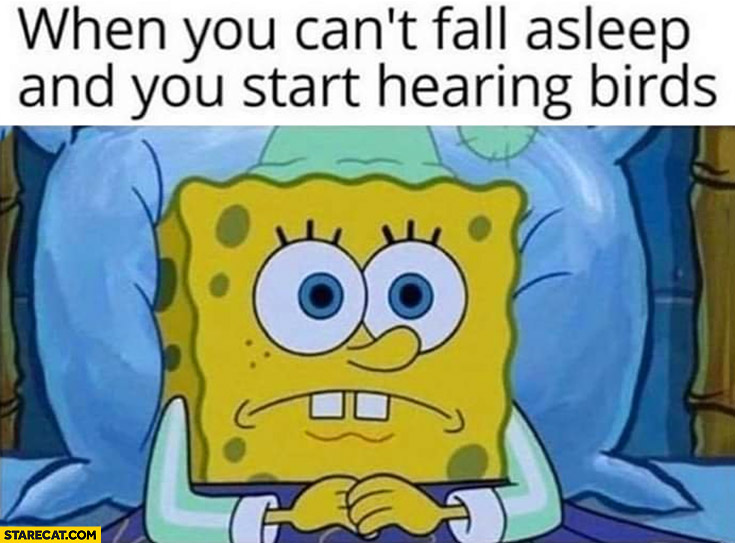 Spongebob when you can’t fall asleep and you start hearing birds