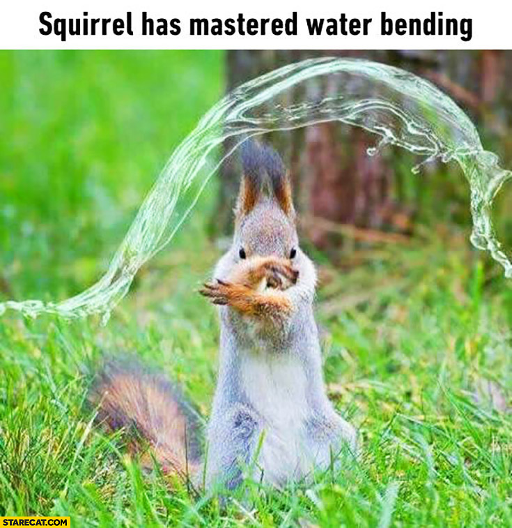 Squirrel has mastered water bending