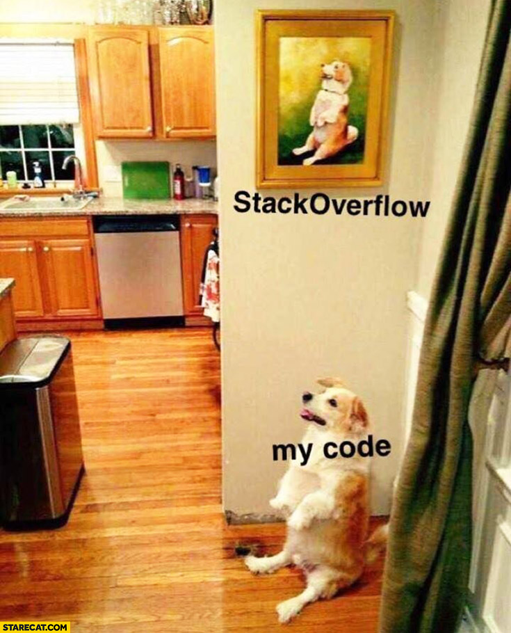 Stackoverflow vs my code the same sitting dog
