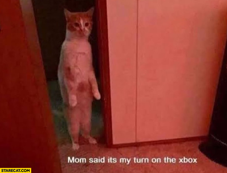 Standing cat mom said it’s my turn on the xbox