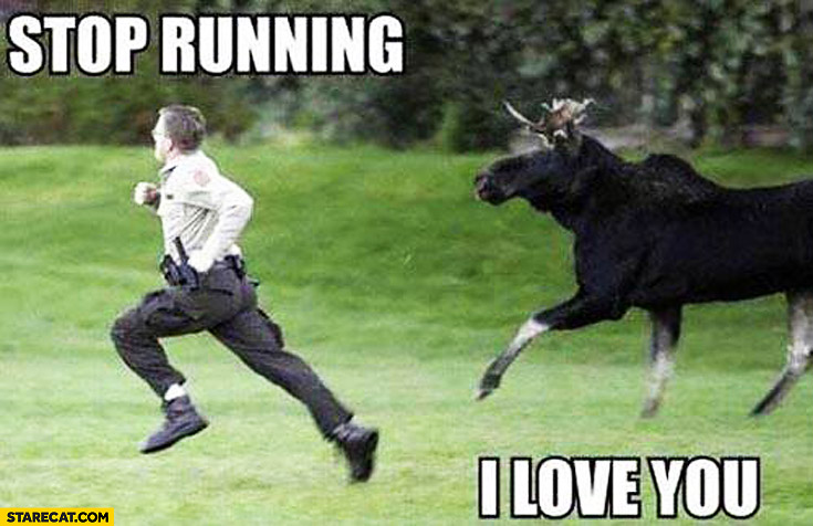 Stop running I love you deer