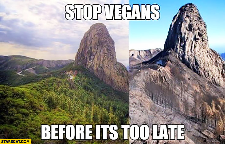 Stop vegans before it’s too late forest disappeared