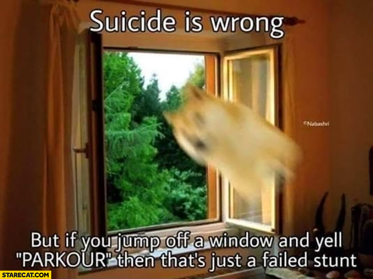 Suicide is wrong but if you jump off a window and yell parkour then that’s just a failed stunt