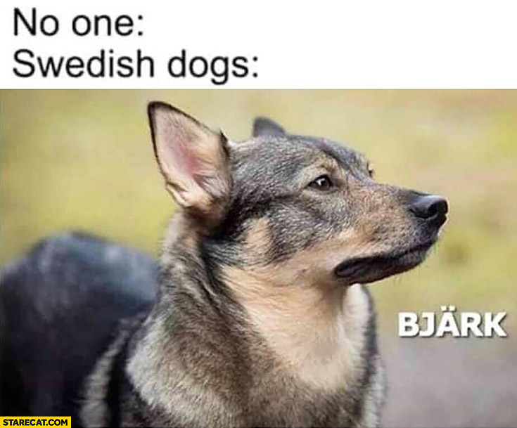 Swedish dogs Bjark bark Ikea
