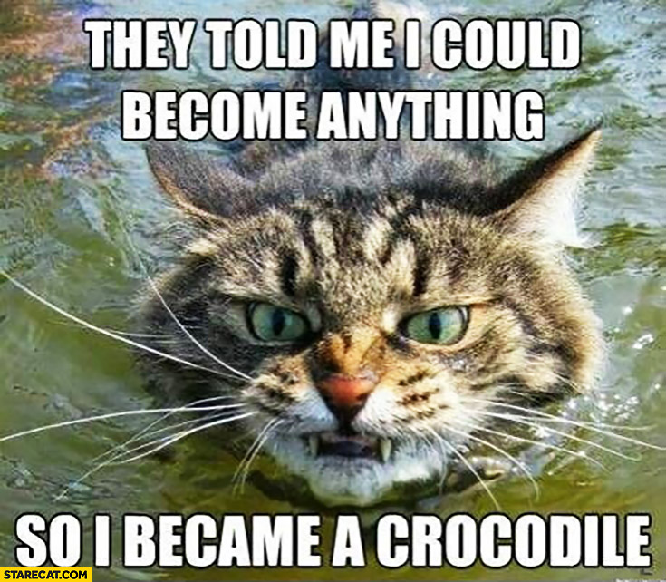 Swimming cat: they told me I could become anything so I became a crocodile