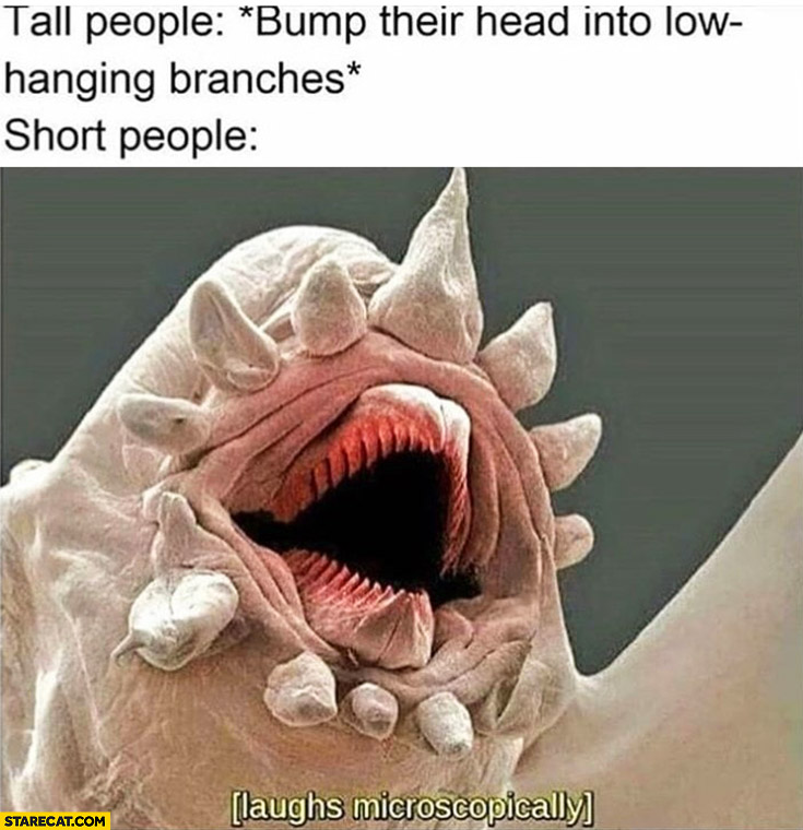 Tall people bump their head into low hanging branches, short people laughs microscopically