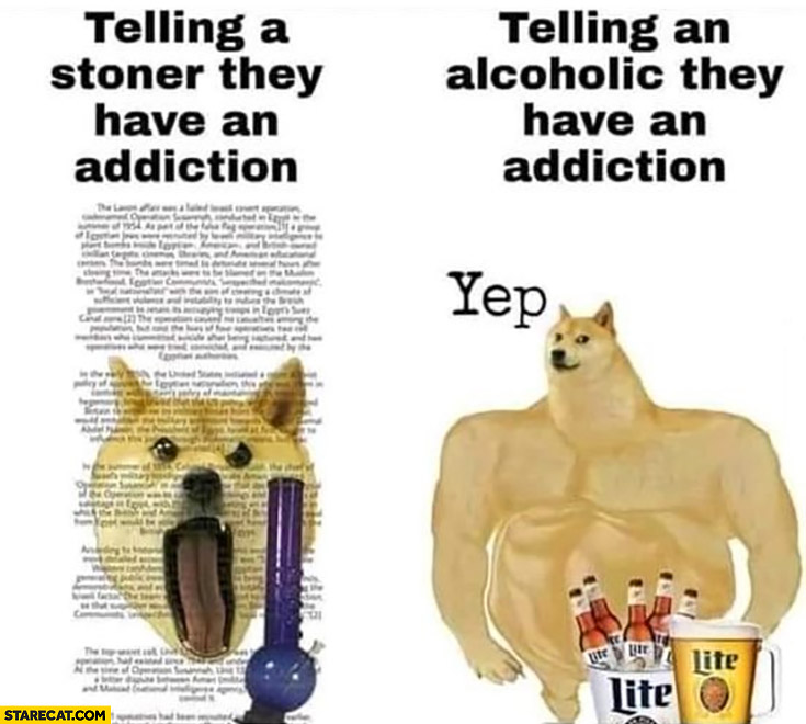 Telling a stoner they have an addiction vs telling an alcoholic yep dog doge