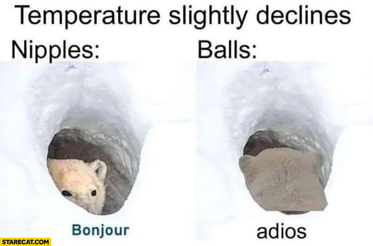 Temperature slightly declines nipples bonjour, balls adios polar bear meme