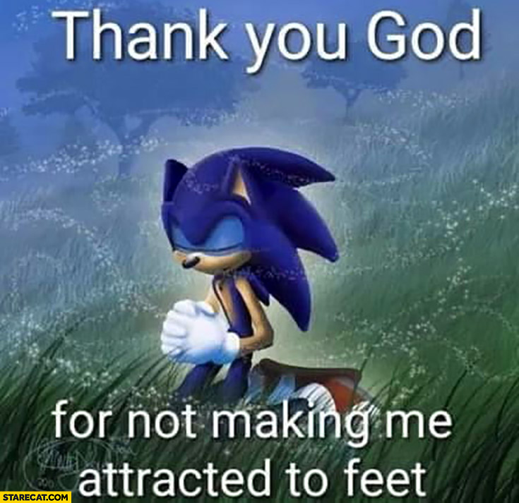 Thank you God for not making me attracted to feet Sonic