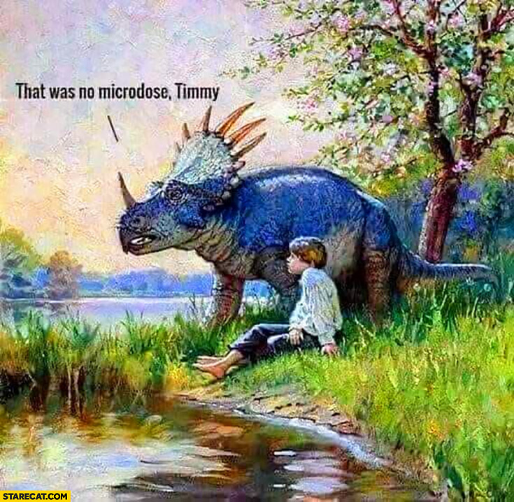 That was no microdose Timmy dinosaur taking drugs
