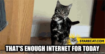 That’s enough internet for today cats GIF animation