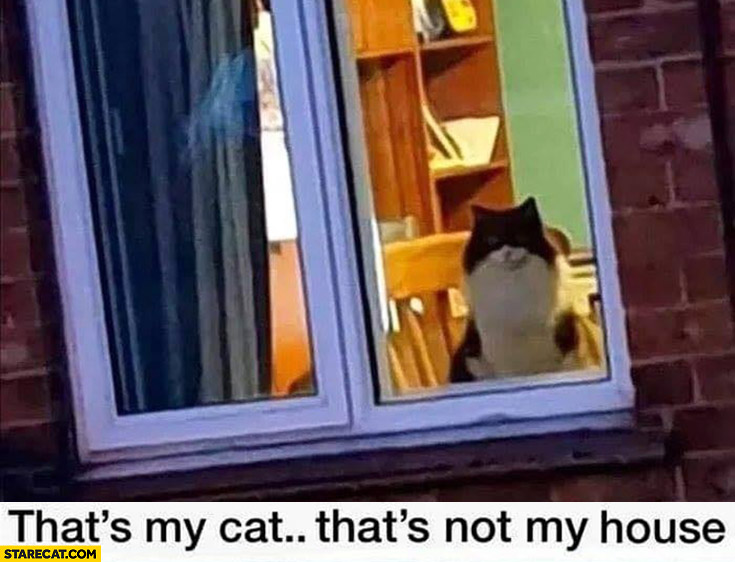 That’s my cat and that’s not my house fail