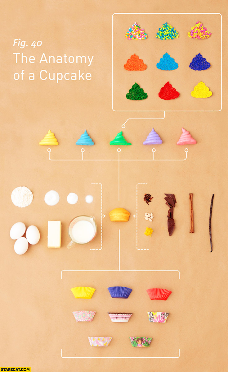 The anatomy of a cupcake