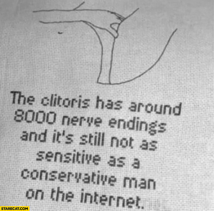 The clit has around 8000 nerve endings and it’s still not as sensitive as a conservative man on the internet