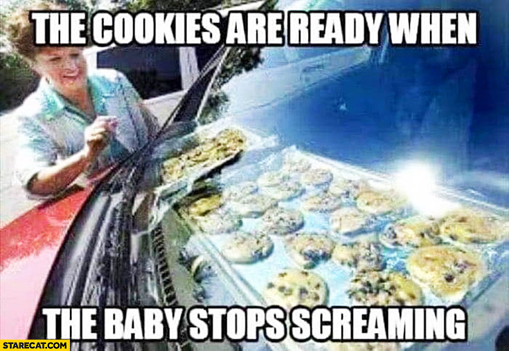 The cookies are ready when the baby stops screaming baking in a car hot sunny day