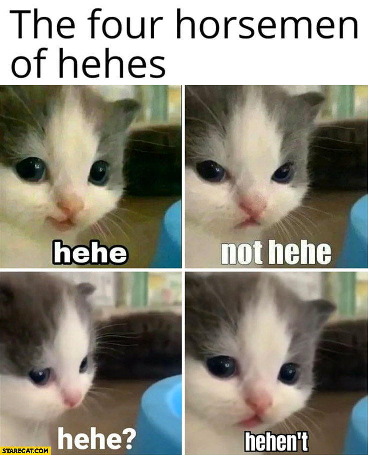 The four horsemen of hehes: hehe, not hehe, hehen’t cat kitten