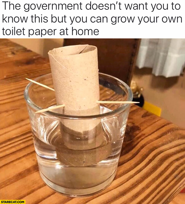 The government doesn’t want you to know this but you can grow your own toilet paper at home