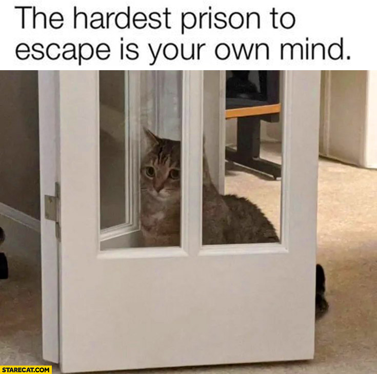 The hardest prison to escape is your own mind cat
