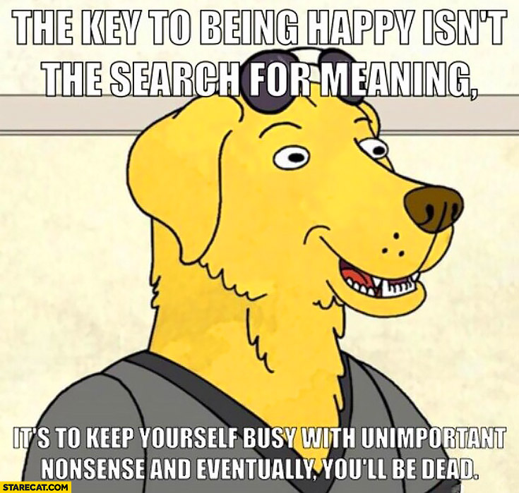 The key of being happy isn’t the search for meaning, it’s to keep yourself busy with unimportant nonsense and eventually you’ll be dead