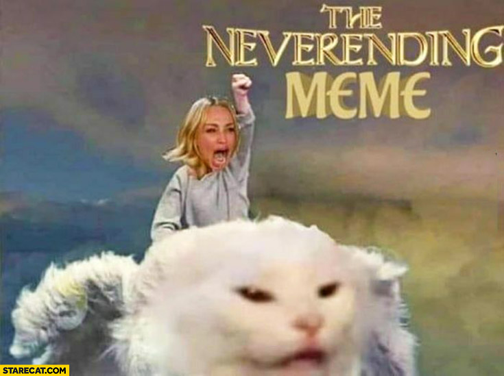 The neverending meme woman yelling at a cat