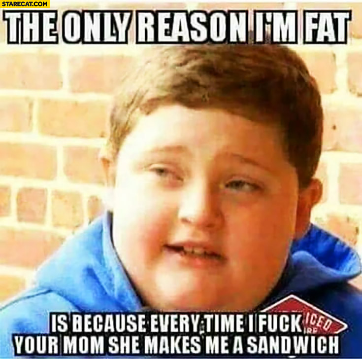The only reason I’m fat is because every time I sleep with your mom she makes me a sandwich fat kid