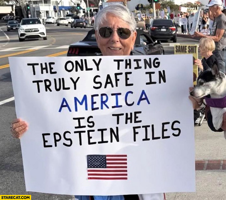The only thing truly safe in America is the Epstein files