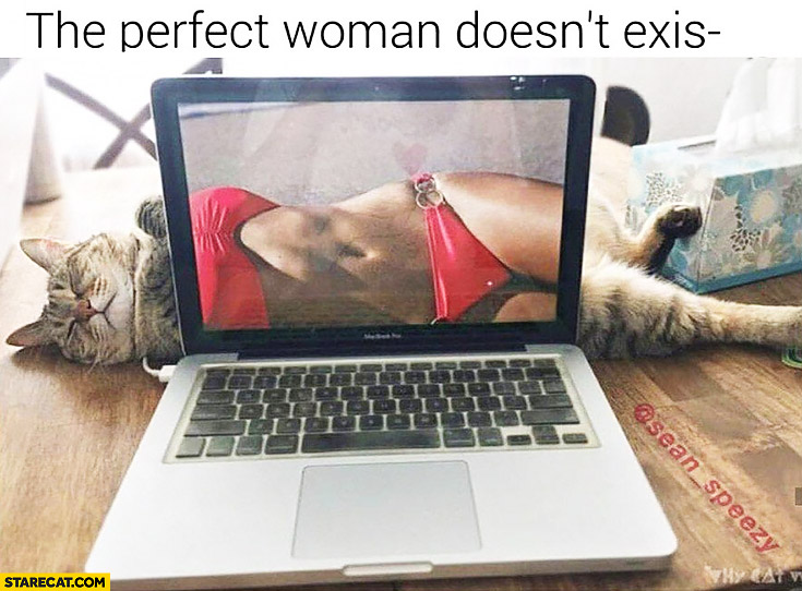 The perfect woman doesn’t exist… wait cat with woman’s body