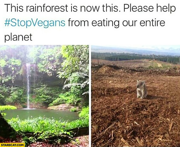 The rainforest is now this, please help stop vegans from eating our entire planet