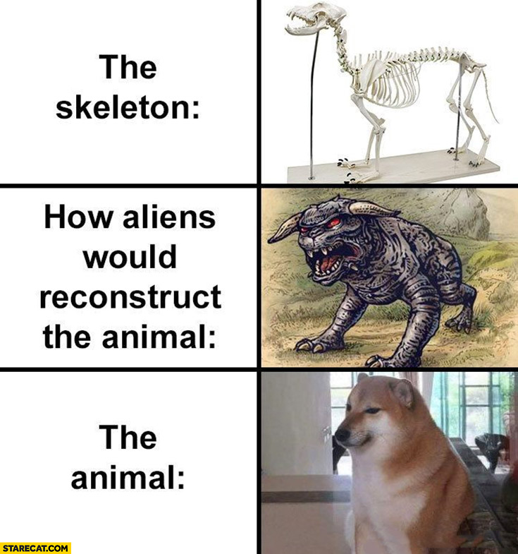 The skeleton vs how aliens would reconstruct the animal vs the real animal cheems