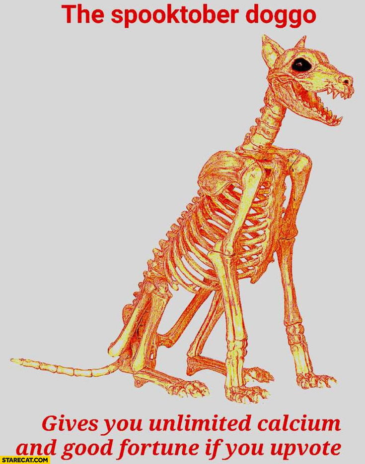 The spooktober doggo gives you unlimited calcium and good fortune if you upvote