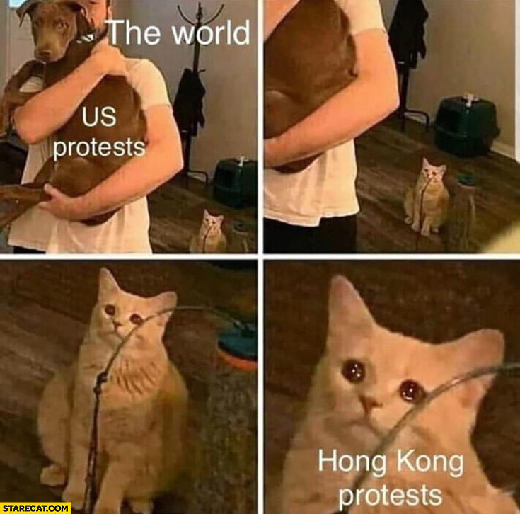 The world only cares about USA protest ignoring Hong Kong protests cat dog