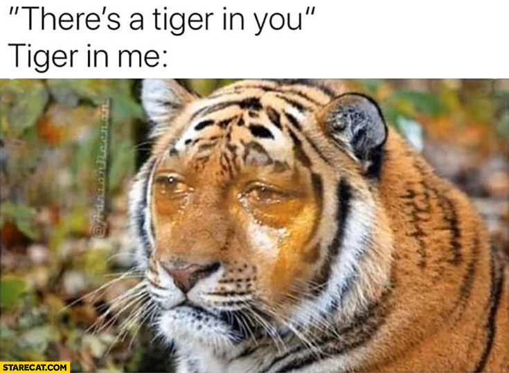 There’s a tiger in you, tiger in me: sad man crying