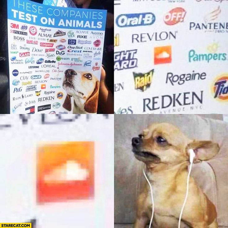 These companies test on animals Soundcloud dog listening to music