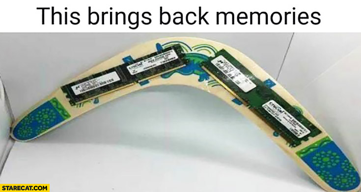 This brings bag memories boomerang with RAM memory modules attached