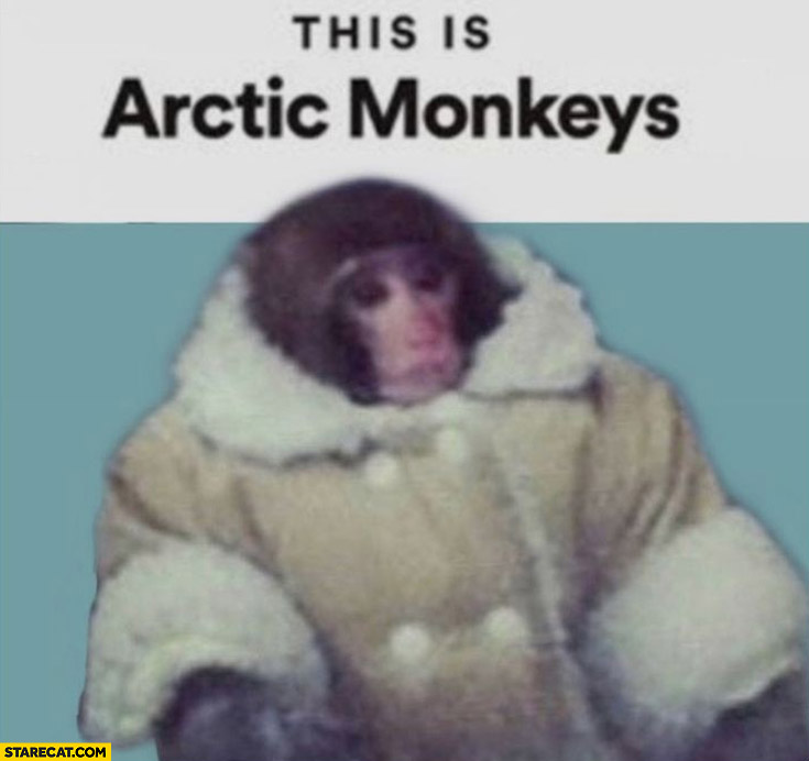 This is Arctic Monkeys spotify monkey in a coat
