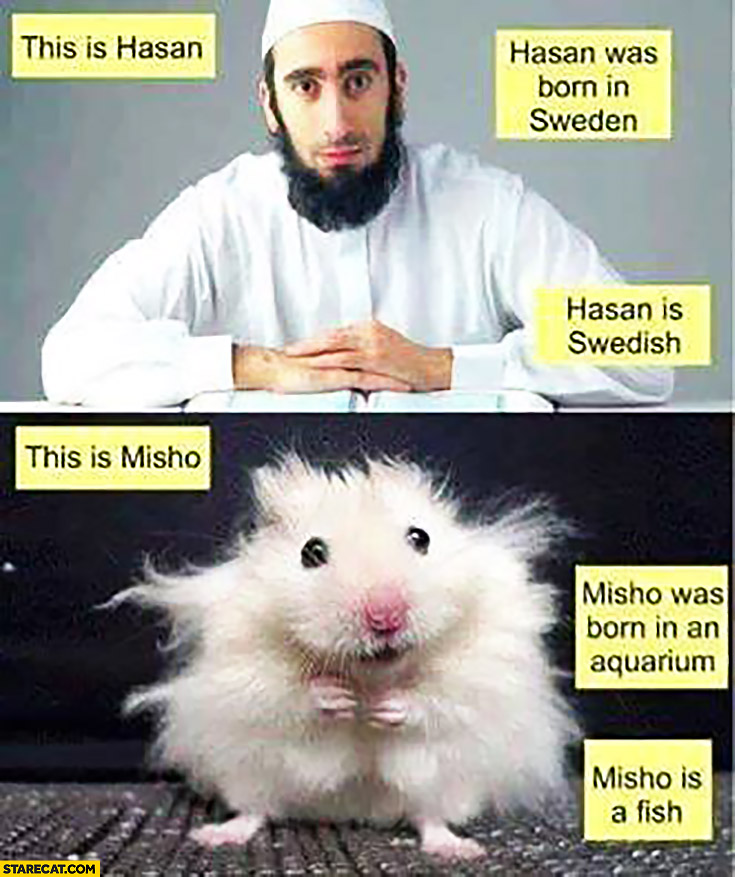 This is Hasan, he was born in Sweden. Hasan is Swedish muslim. This is Misho, he was born in an aquarium. Misho is a fish hamster comparison trolling