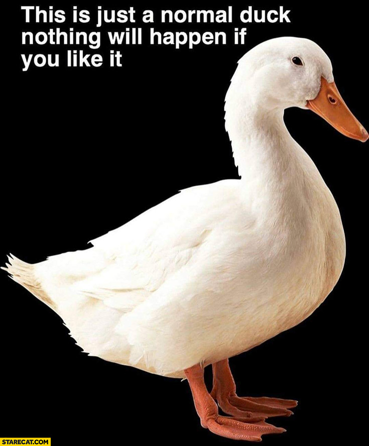 This is just a normal duck nothing will happen if you like it