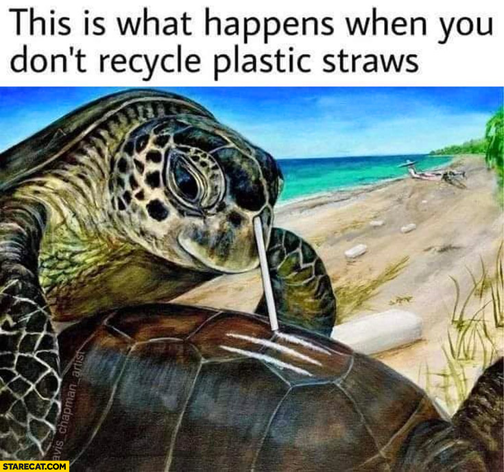 This is what happens when you don’t recycle plastic straws turtle tortoise snorting cocaine