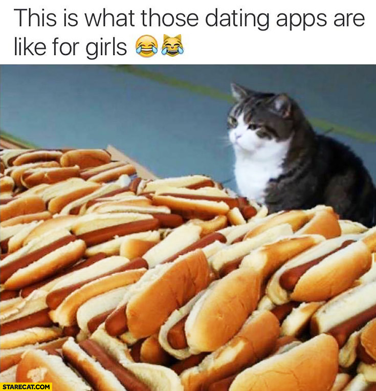 This is what those dating apps are like for girls. Cat with tons of hotdogs