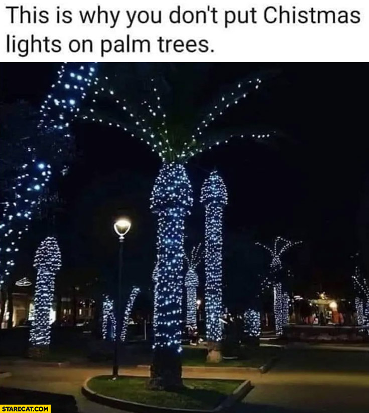 This is why you don’t put Christmas lights on palm trees they look like dicks