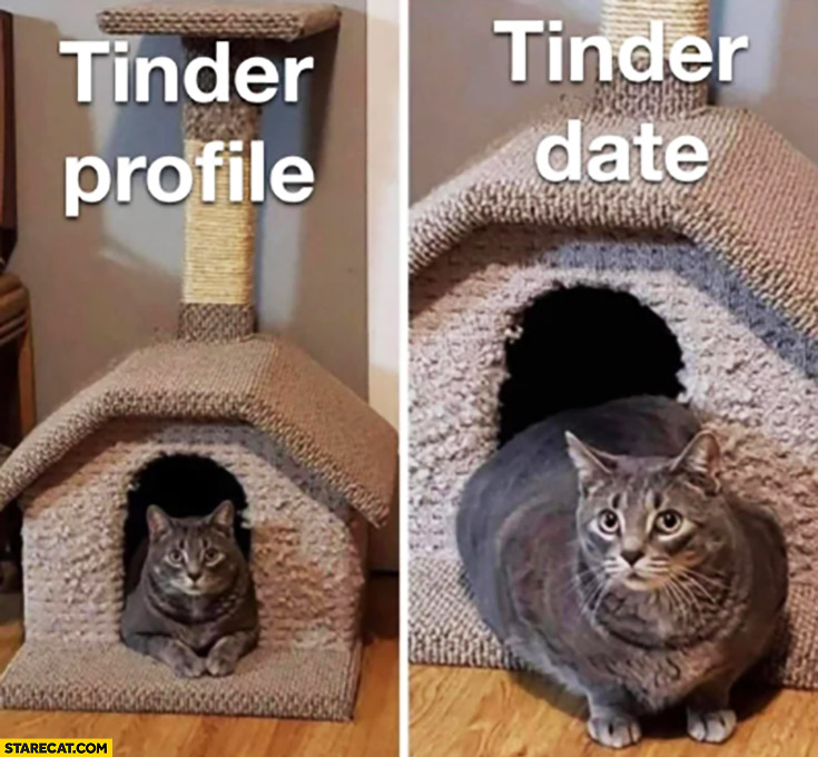 Tinder profile vs tinder date fat cat