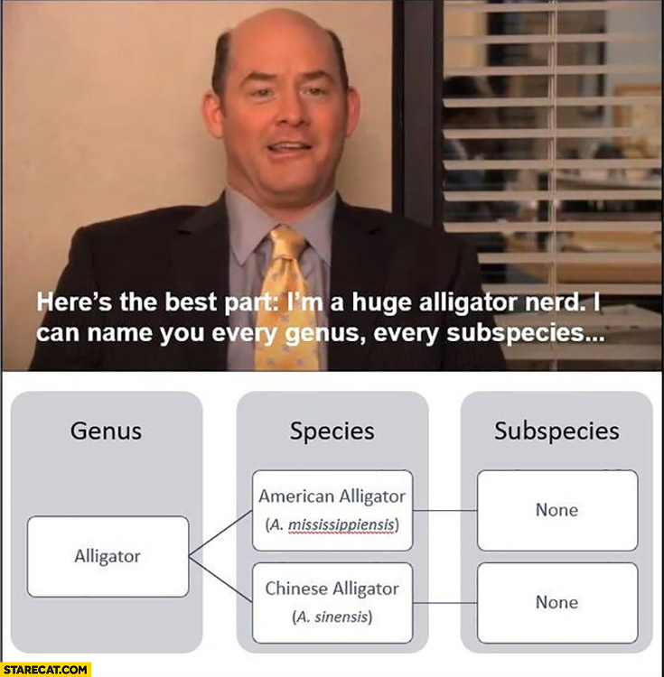 Todd Packer The office I’m a huge alligator nerd, I can name every genus every subspecies there’s none