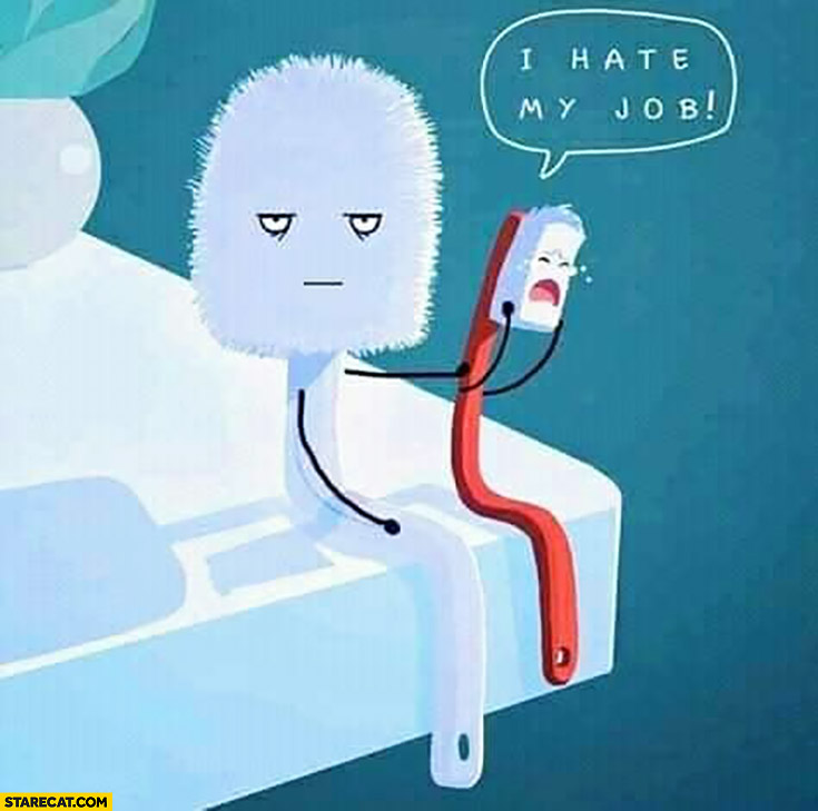 Toothbrush: I hate my job, toilet brush confused